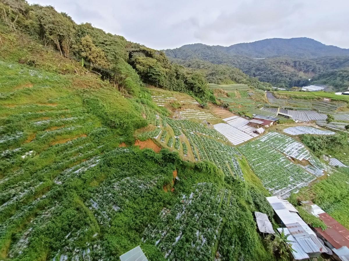 Dream 2 Lägenhet Cameron Highlands Exteriör bild